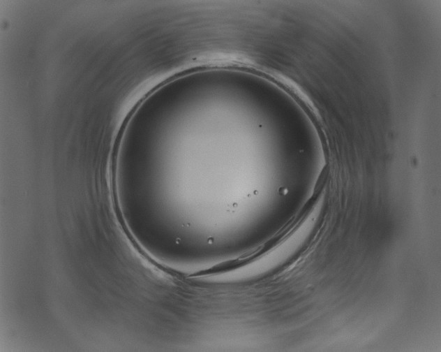 X0000074341343200608251341