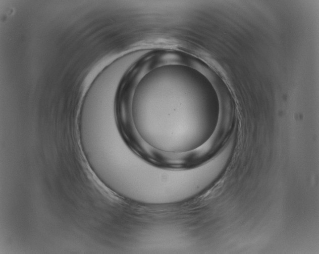 X0000074341344200608251341