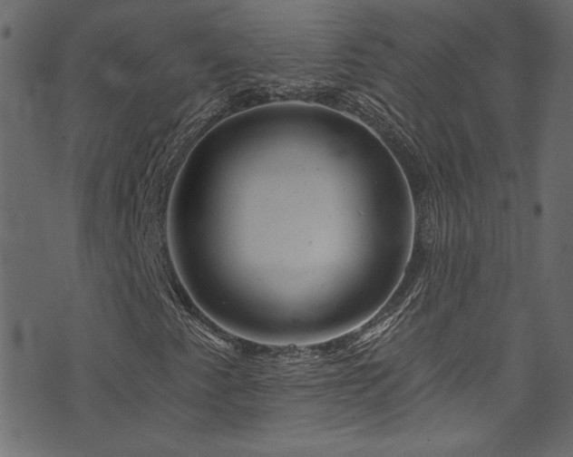 X0000074341345200608251341