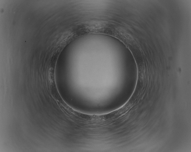 X0000074341346200608251341