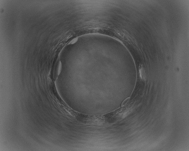 X0000074341347200608251340