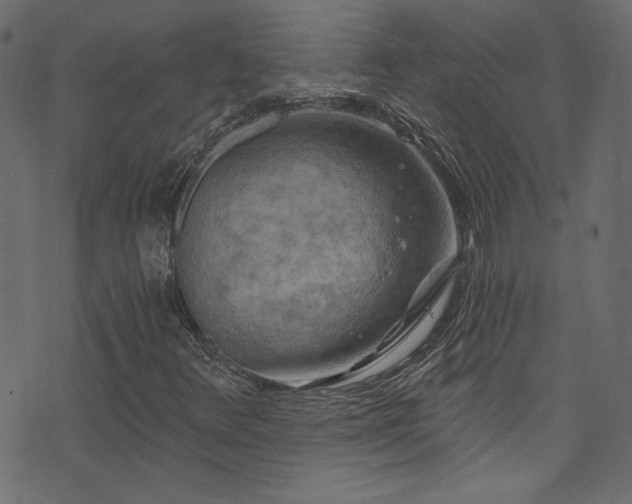 X0000074341348200608251340