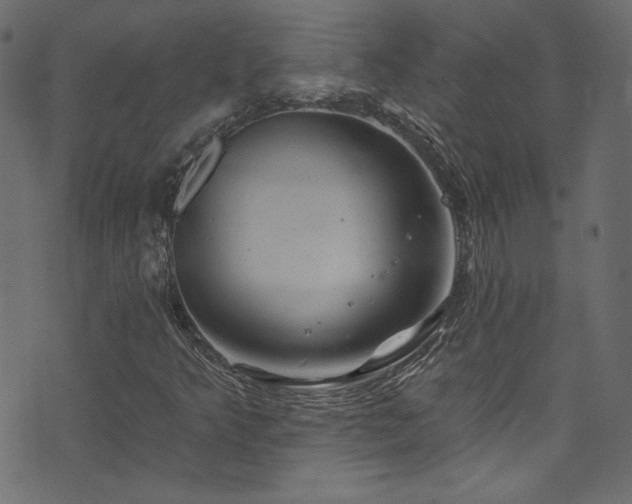 X0000074341349200608251340