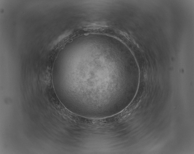 X0000074341350200608251340