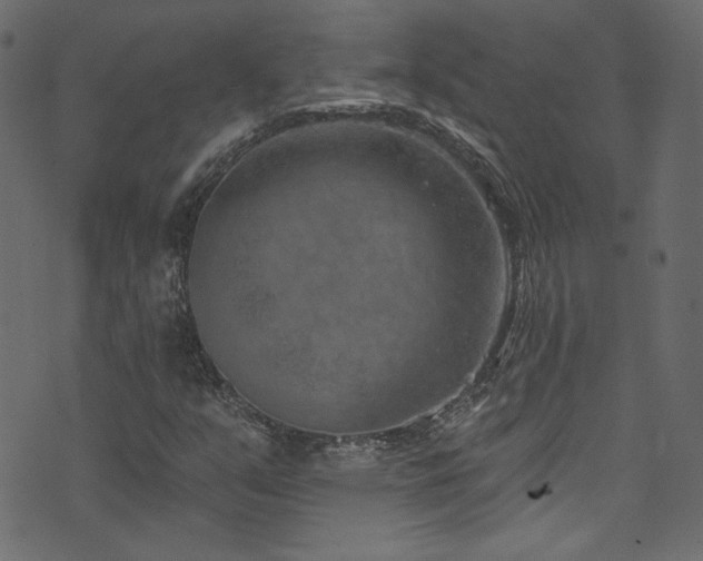 X0000074341351200608251340