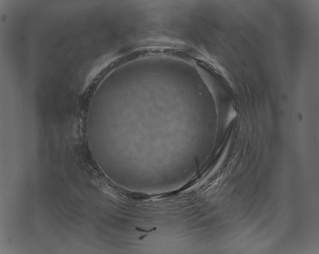 X0000074341352200608251340