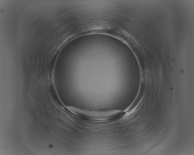 X0000074341353200608251340