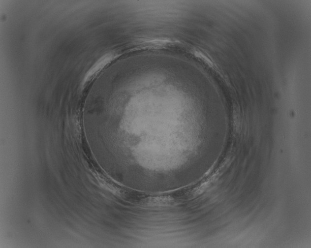 X0000074341354200608251340