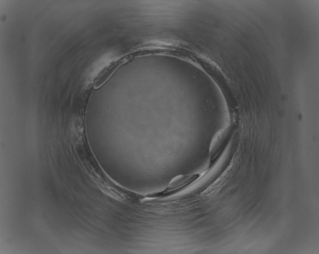 X0000074341355200608251340