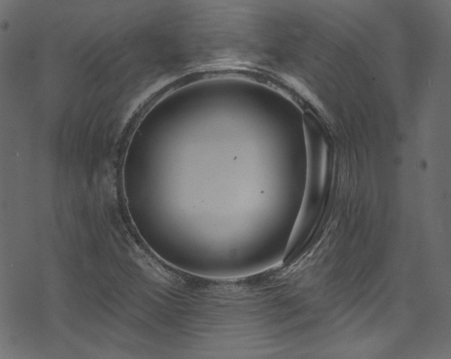 X0000074341356200608251340