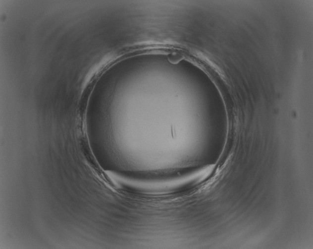 X0000074341357200608251340