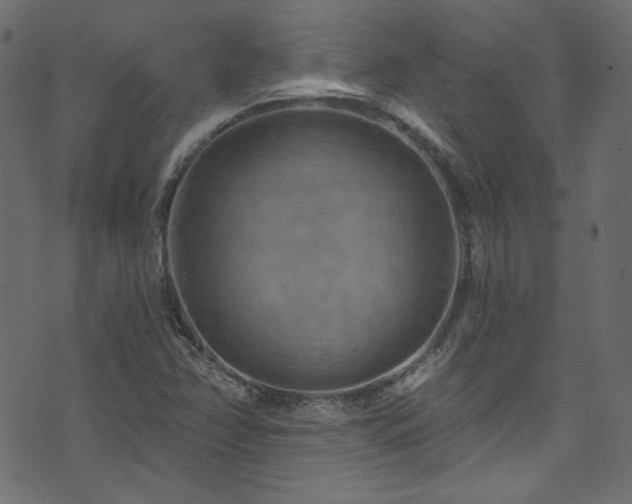 X0000074341358200608251340