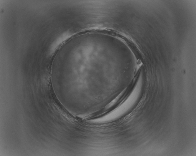 X0000074341359200608251340