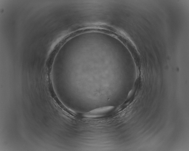 X0000074341360200608251340