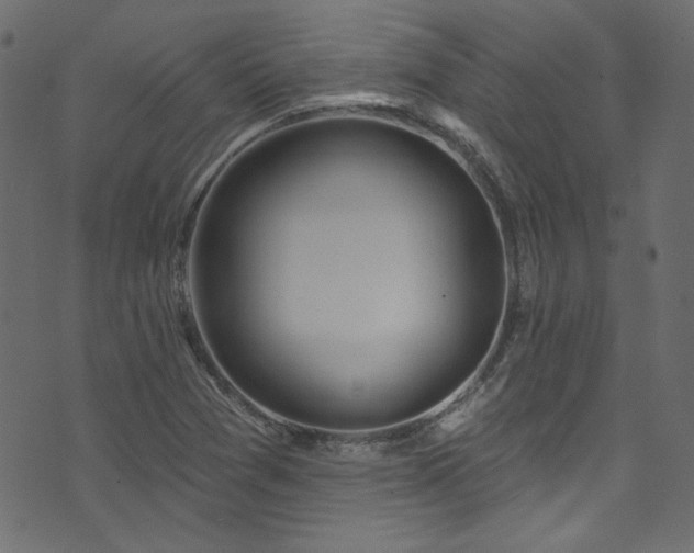 X0000074341361200608251340