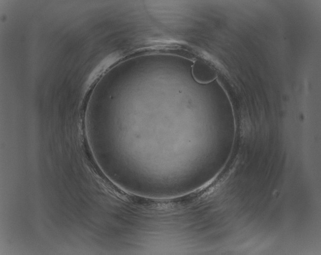 X0000074341362200608251340