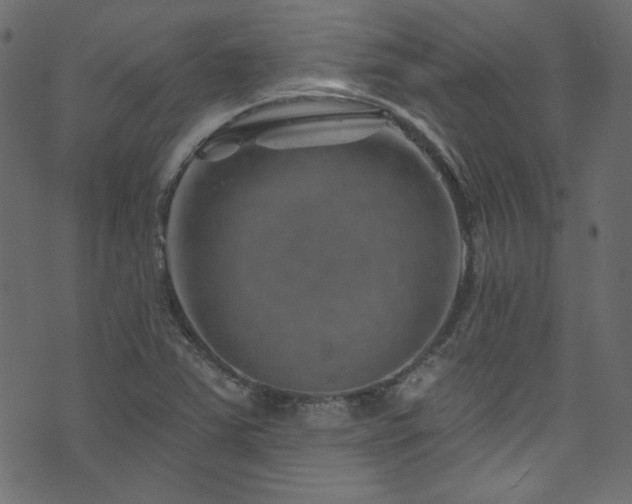 X0000074341363200608251340