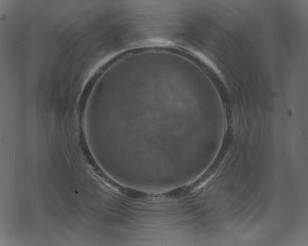 X0000074341364200608251340