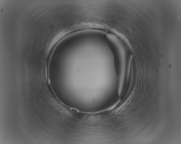 X0000074341365200608251340