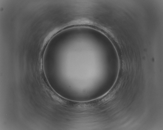 X0000074341366200608251340