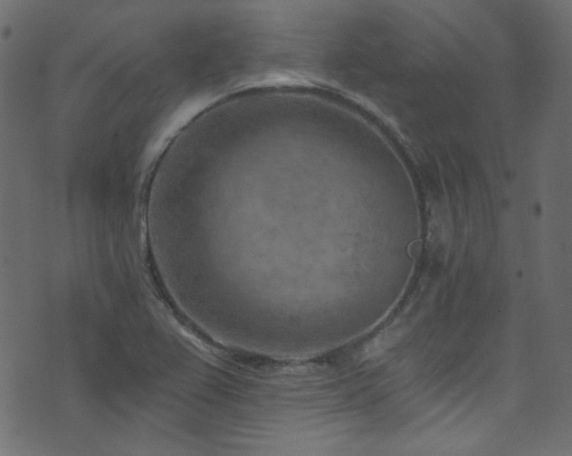 X0000074341367200608251340