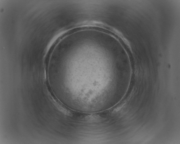 X0000074341368200608251340