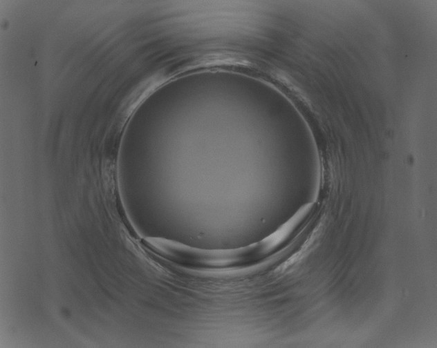 X0000074341369200608251340