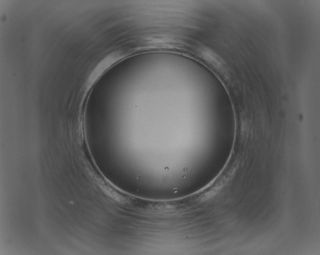 X0000074341370200608251340