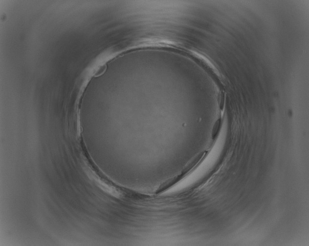 X0000074341371200608251340