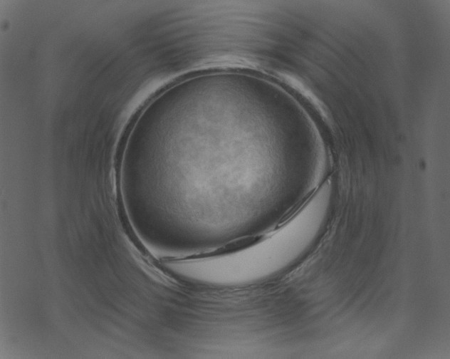 X0000074341372200608251340