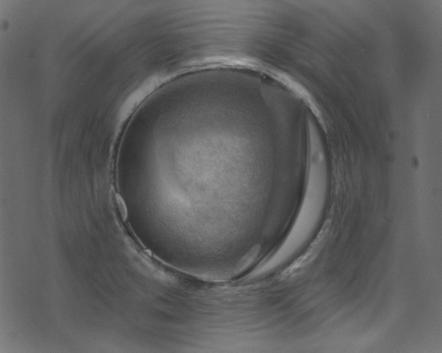 X0000074341373200608251340