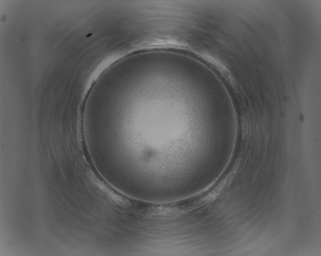 X0000074341374200608251340