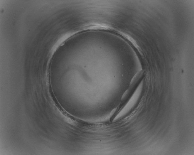 X0000074341375200608251340