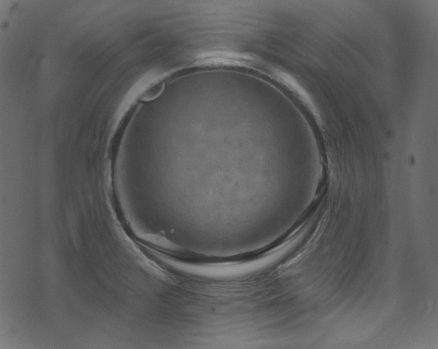 X0000074341376200608251340