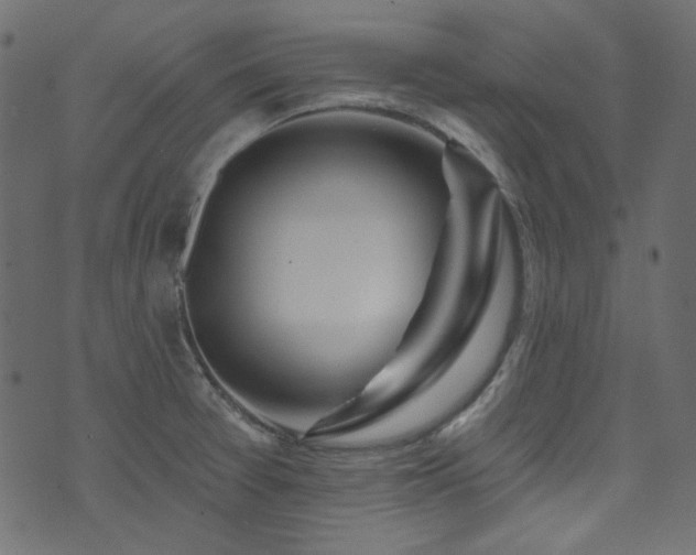 X0000074341377200608251340