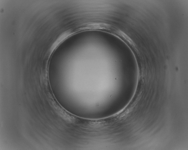 X0000074341378200608251340