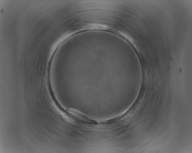 X0000074341379200608251340