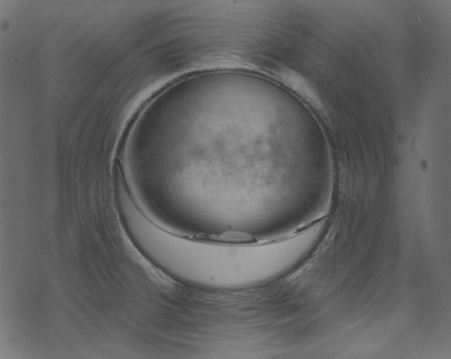 X0000074341380200608251340