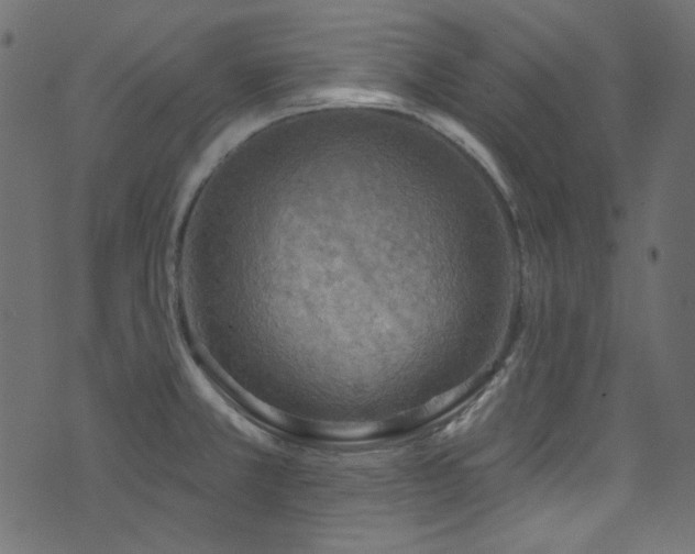 X0000074341381200608251340