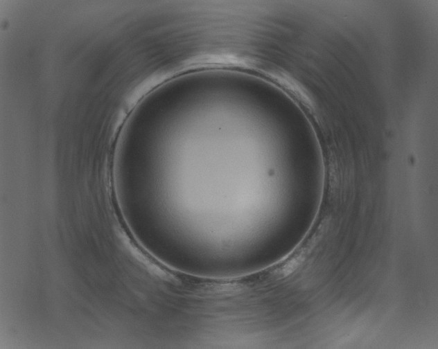 X0000074341382200608251340