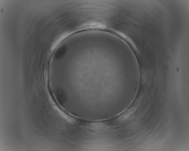 X0000074341383200608251340