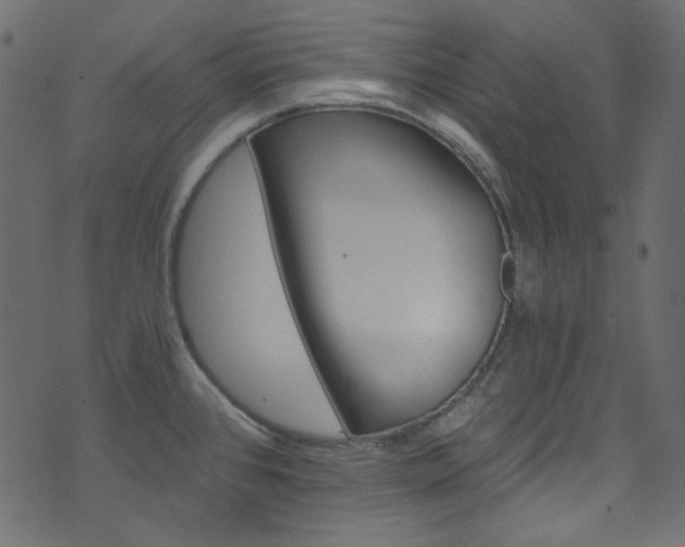 X0000074341384200608251340