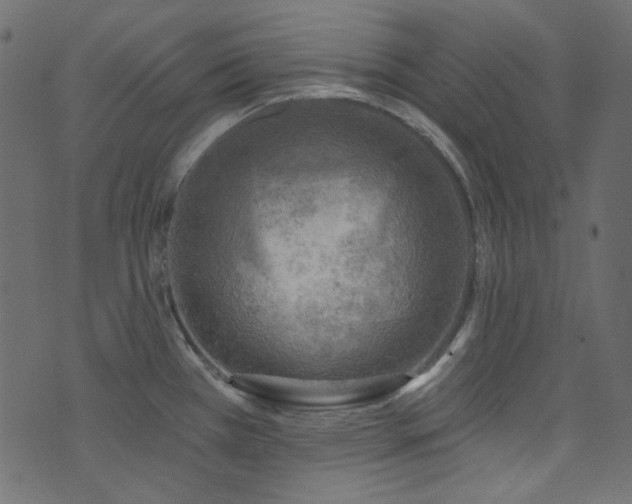 X0000074341385200608251340