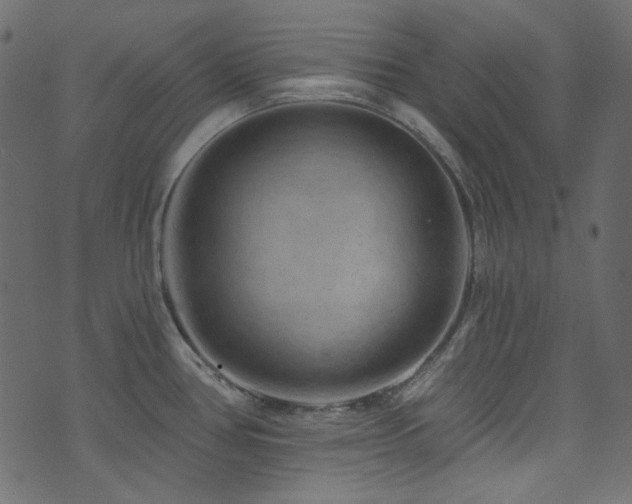 X0000074341386200608251340