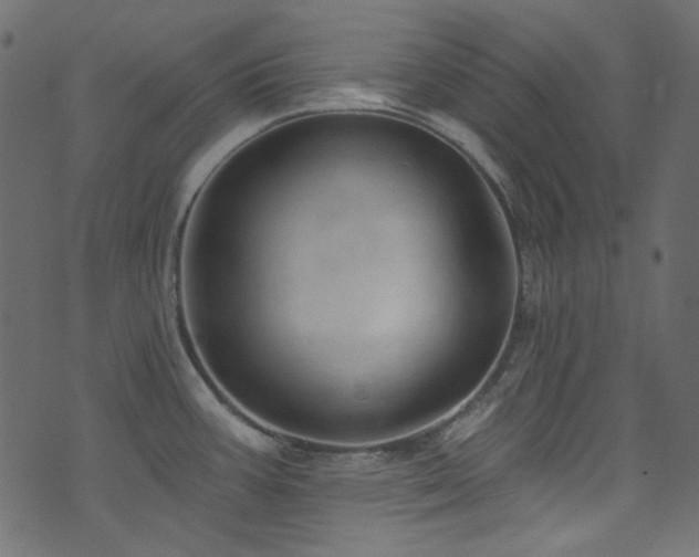 X0000074341387200608251340