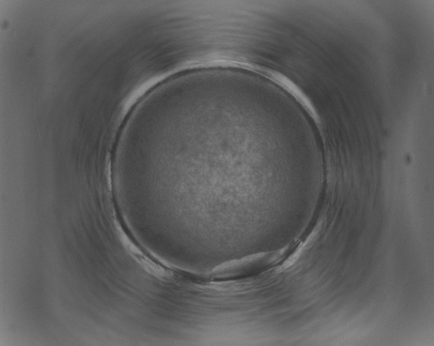 X0000074341388200608251340