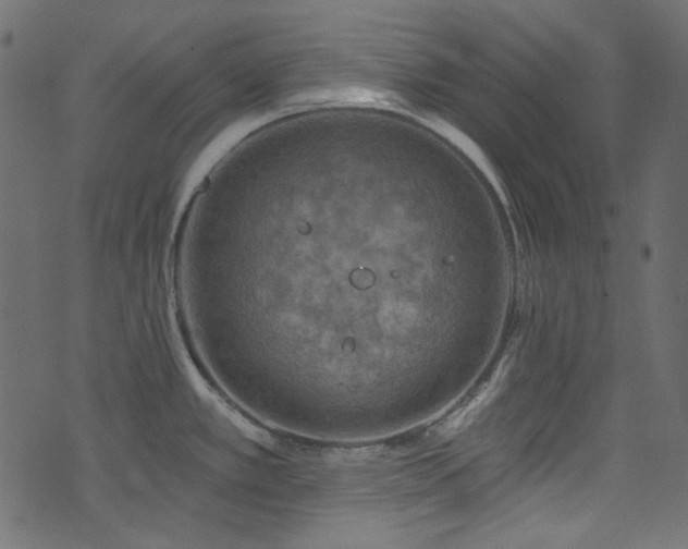 X0000074341389200608251340