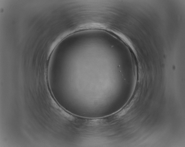 X0000074341390200608251340