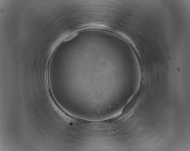 X0000074341391200608251340