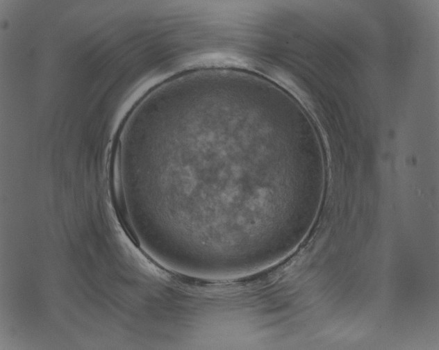 X0000074341392200608251340